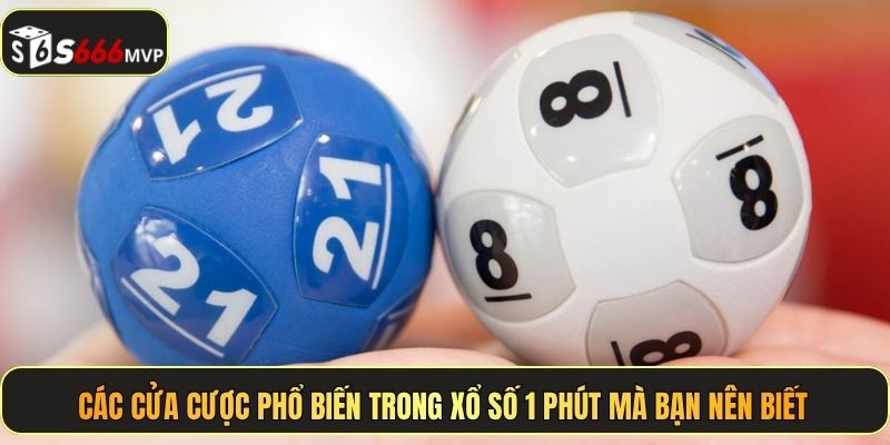 Các cửa cược phổ biến trong xổ số 1 phút mà bạn nên biết