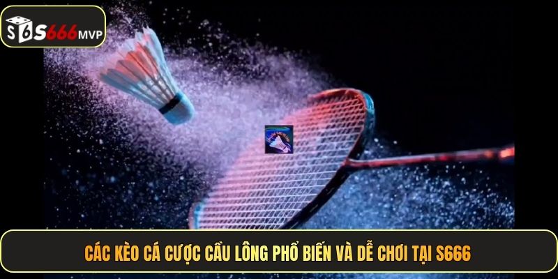 Các kèo cá cược cầu lông phổ biến và dễ chơi tại S666