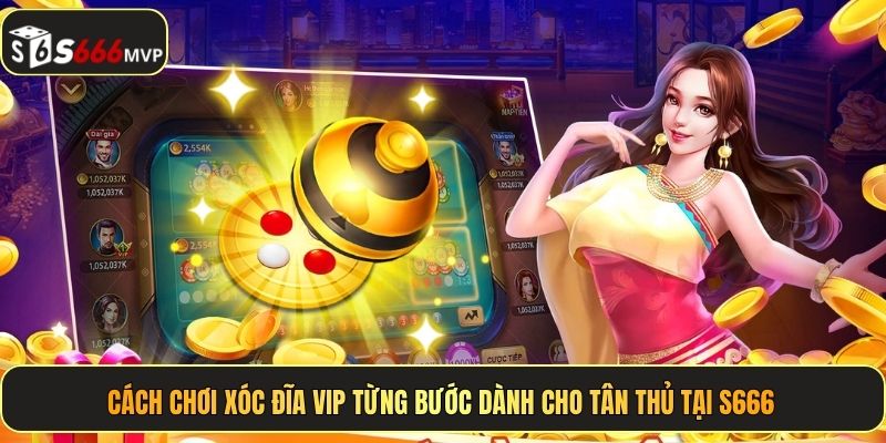 Cách chơi Xóc Đĩa VIP từng bước dành cho tân thủ tại S666