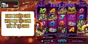 Kinh Nghiệm Chơi Wild Đạo Tặc Gom Tiền Tỷ Tại S666