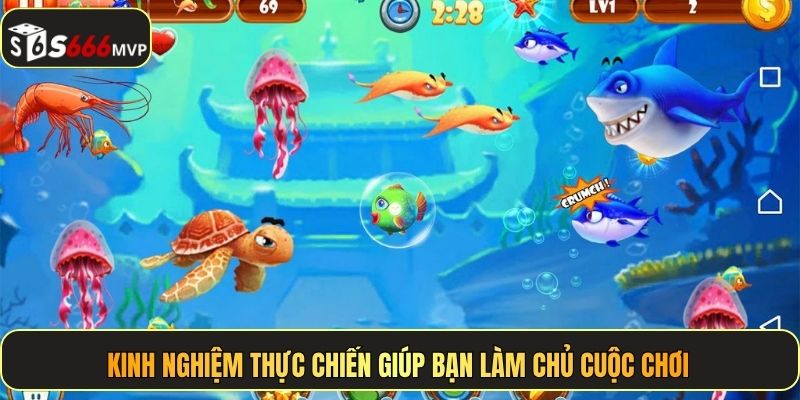 Kinh nghiệm thực chiến giúp bạn làm chủ cuộc chơi