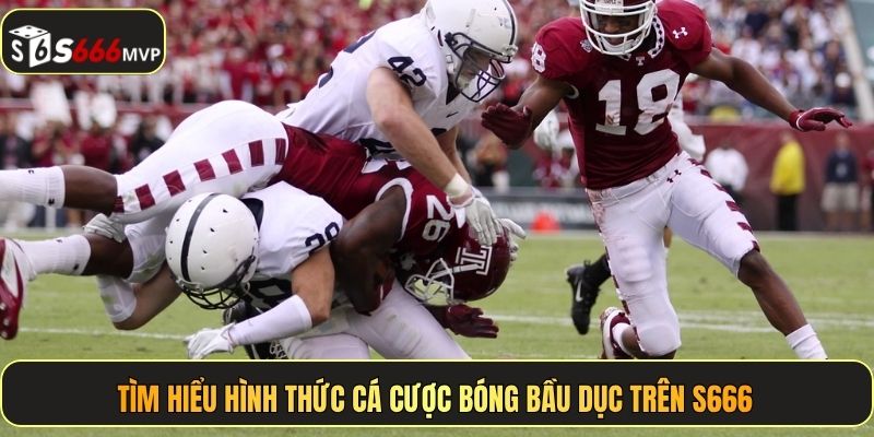 Tìm hiểu hình thức cá cược bóng bầu dục trên S666