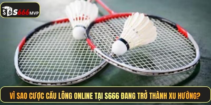 Vì sao cược cầu lông online tại S666 đang trở thành xu hướng?